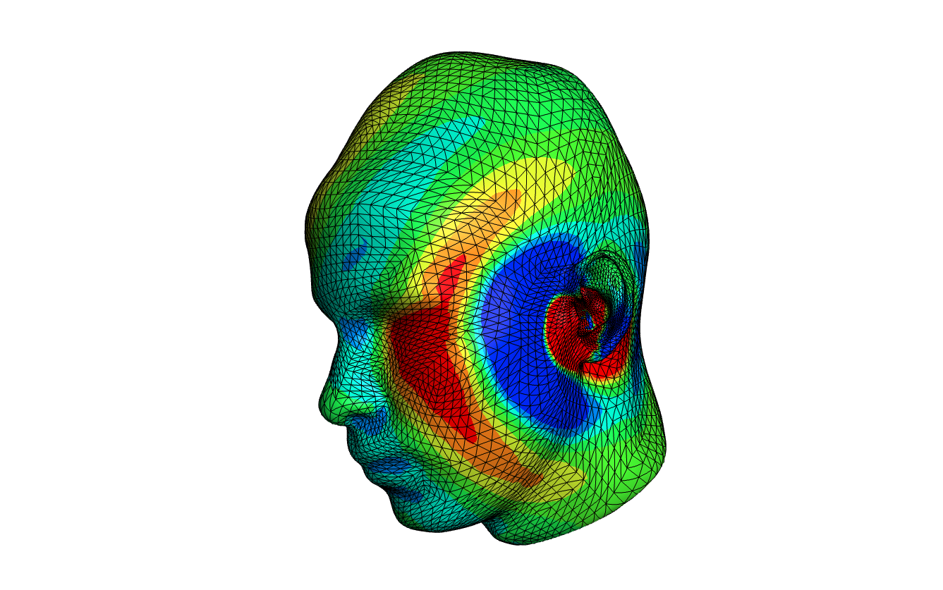 Head geometry simulation
